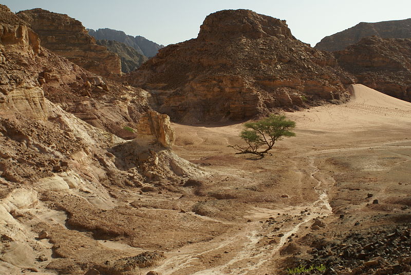 Sinai Peninsula Image Florian Prischl