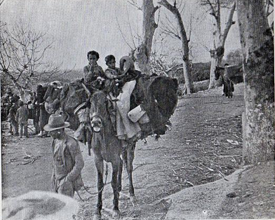 Chidren leaving their homes in Malaga Public Domain