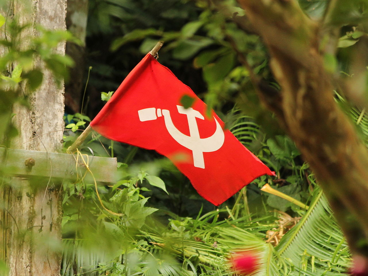 Communist flag Kottayam Kerala India Image Praveenp
