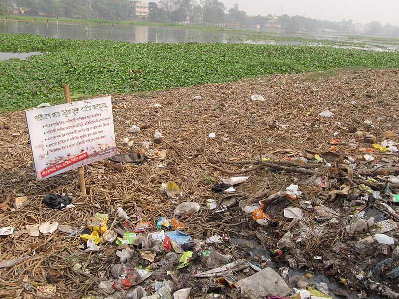 Lake pollution Image Biswarup Ganguly