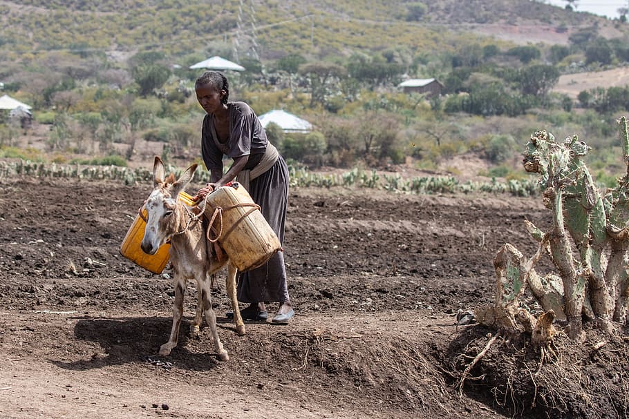 ethiopia africa poverty agriculture Image WP